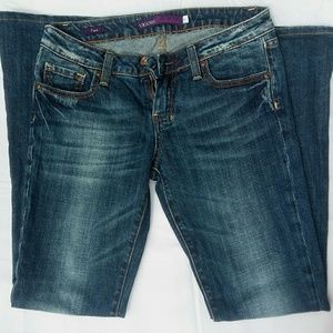 Vigoss Collection Embellished Flare Jeans